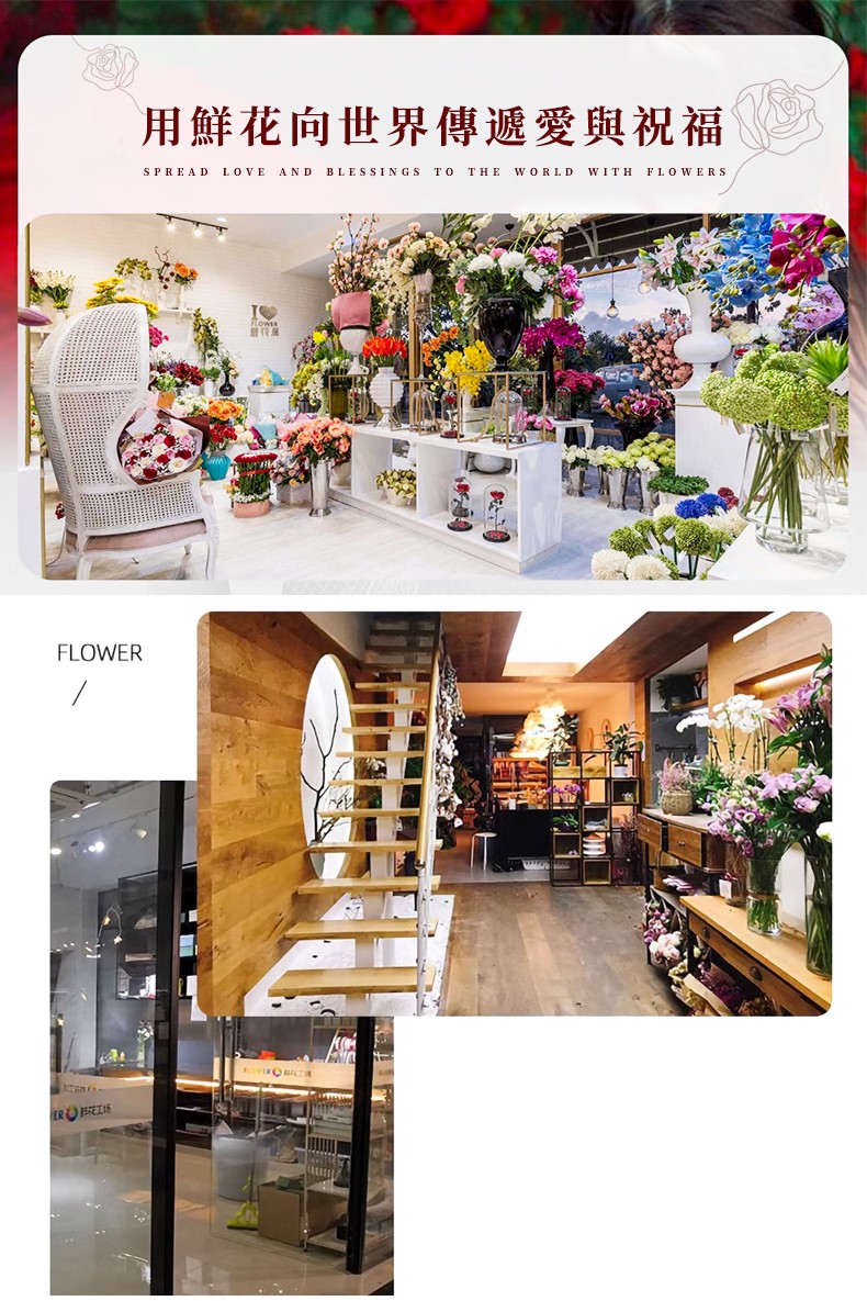 1742869093606141.jpg 33朵玫瑰-790px_02.jpg