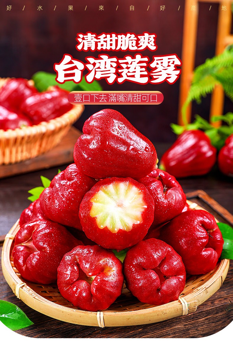790px_01.jpg