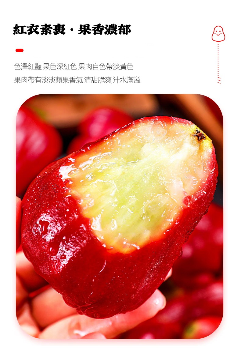 790px_02.jpg
