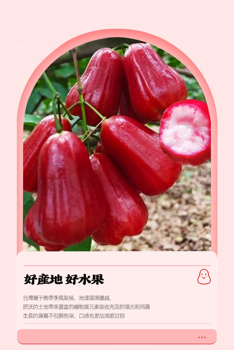 790px_04.jpg