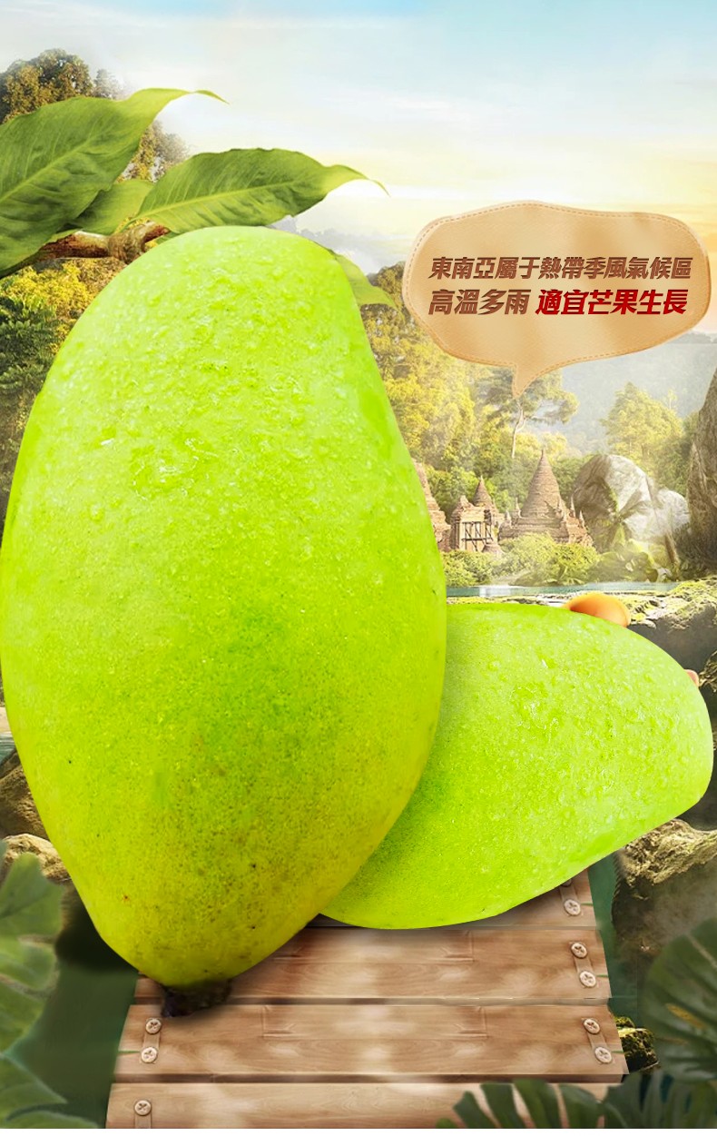790px_03.jpg