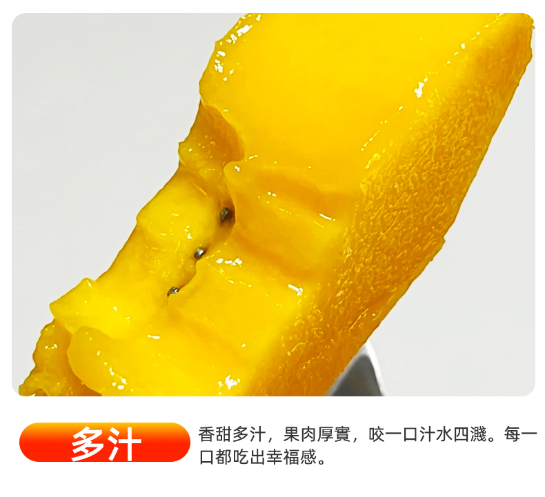 790px_08.jpg