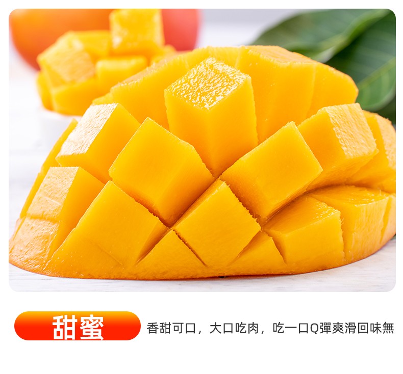 790px_09.jpg