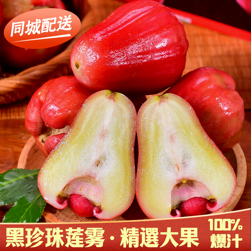 台灣同城配送台灣蓮霧新鮮樹上熟現摘應季當季熱帶水果孕婦低糖水果 精選大果送老人年貨禮物