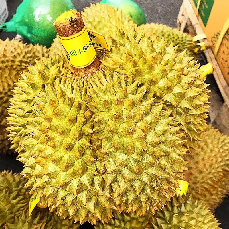 台灣同城配送泰國金枕榴蓮新鮮果整箱長柄榴蓮金枕頭進口A果整個帶殼熱帶水果 商超級30年老樹果 